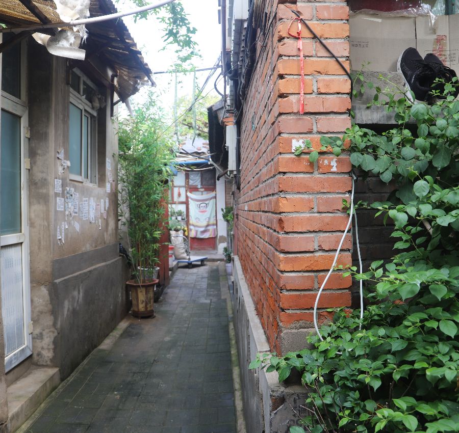 院内情况