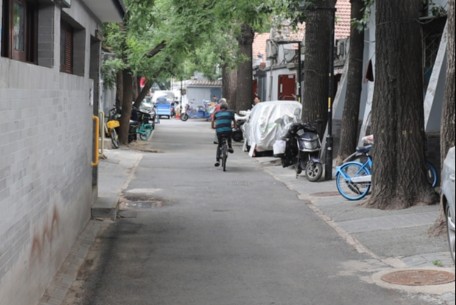 育树胡同 - 位于北京市东城区东直门北小街西侧